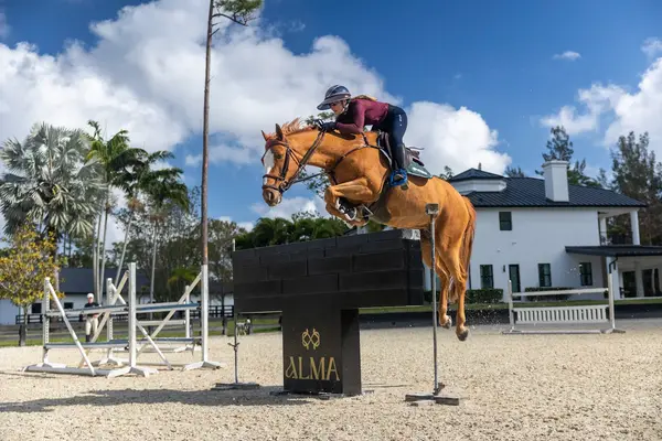 Alma Equestrian Stables, photo 3