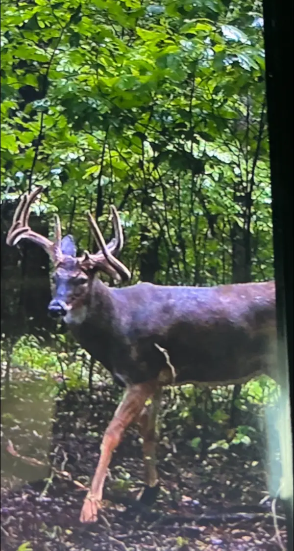 Almost Heaven Hunting Club