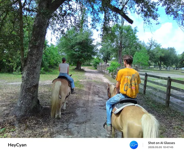 Almosta Ranch LLC