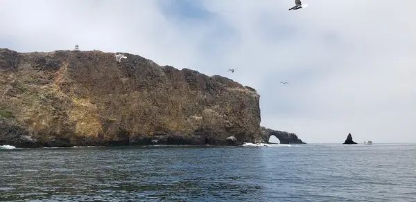 Aloha Sport Fishing