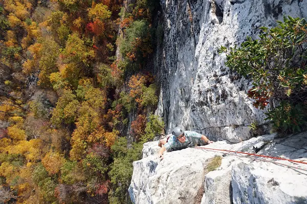 Alpine Endeavors LLC