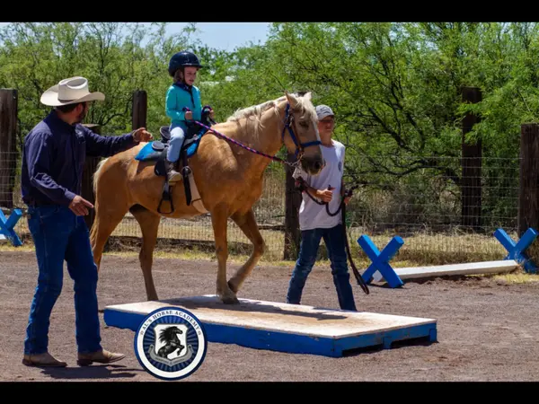Al's Horse Academy