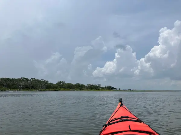 Amelia Island Kayak Excursions, photo 3