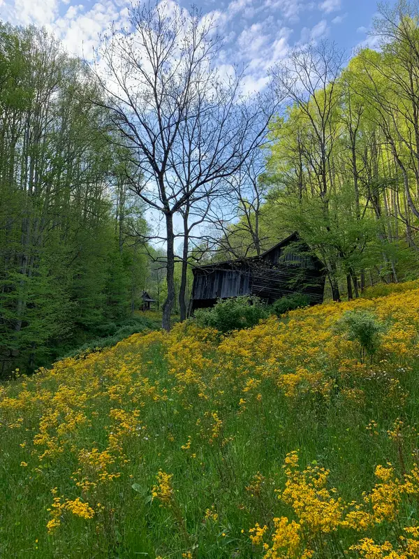 American Hunting Lease Association