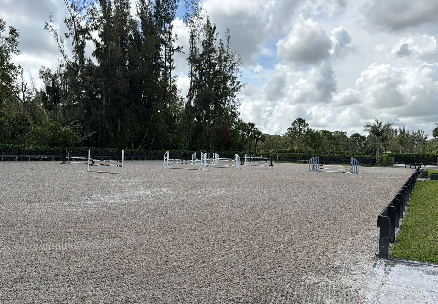 AMG Equestrian