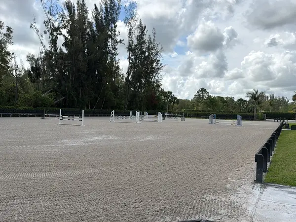 AMG Equestrian
