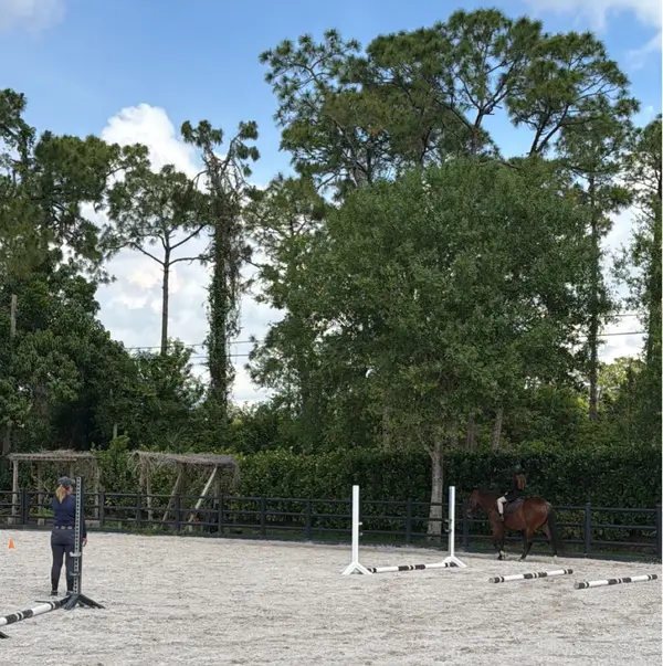AMG Equestrian, photo 1