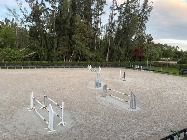 AMG Equestrian, photo 2