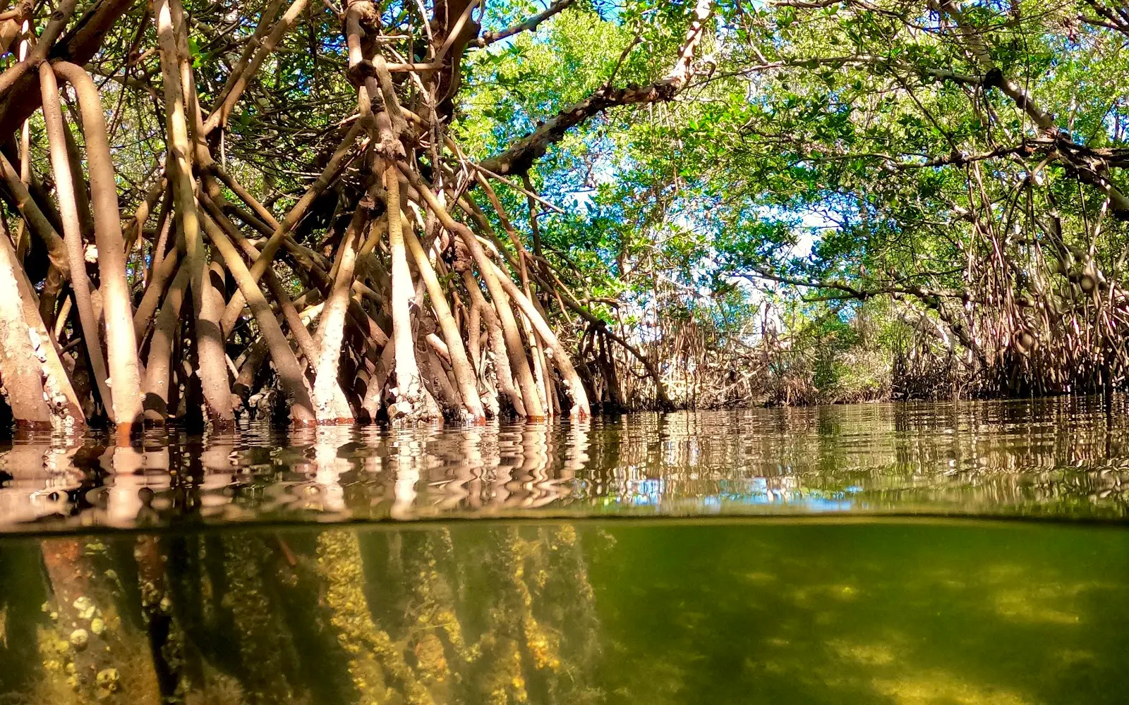 AMI Paddleboard & Kayak Adventures