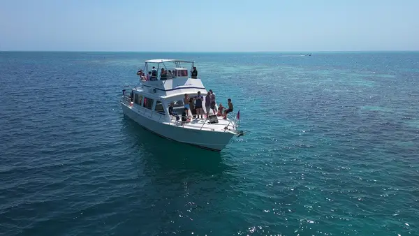 Amigos Del Mar Tour Center