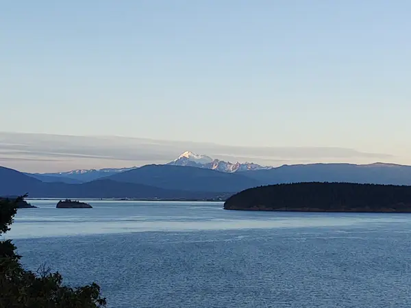 Anacortes Marina Enterprises