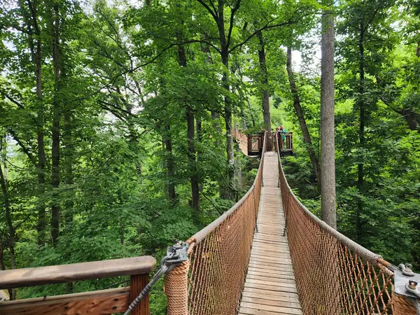 Anakeesta, Gatlinburg, TN