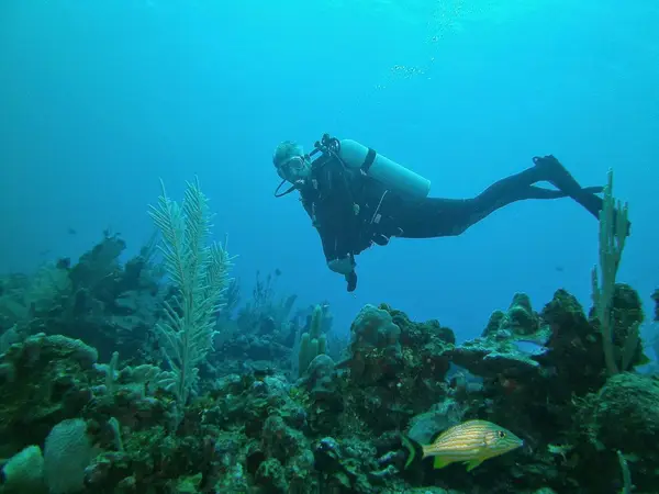 Anchor Bay Scuba
