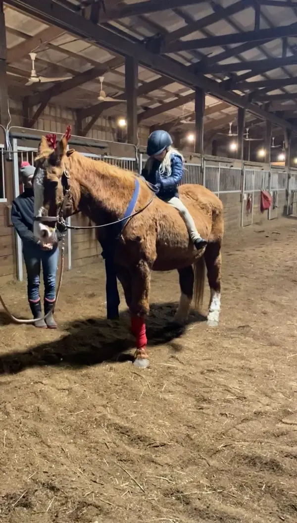 Anderson Equestrian Center, LLC