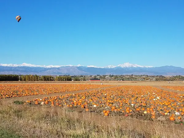 Anderson Farms, Erie, CO