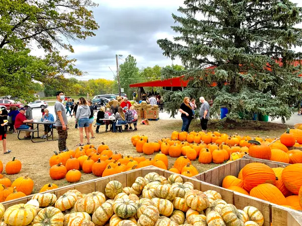 Anderson Orchard, Mooresville, IN