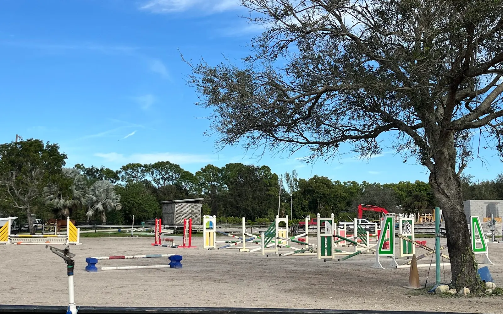 Andrea's Dream Believer Stable