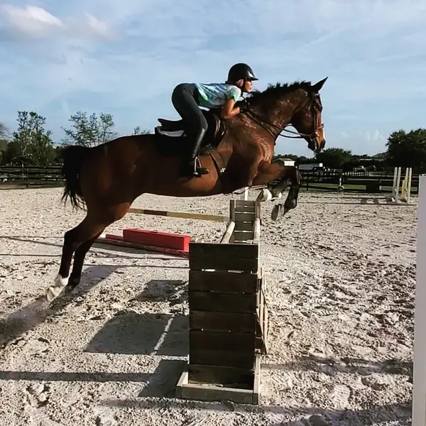 Andrea's Dream Believer Stable, photo 1