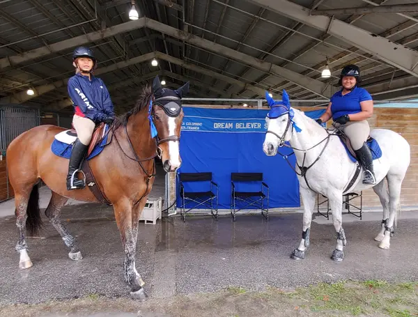 Andrea's Dream Believer Stable, photo 2