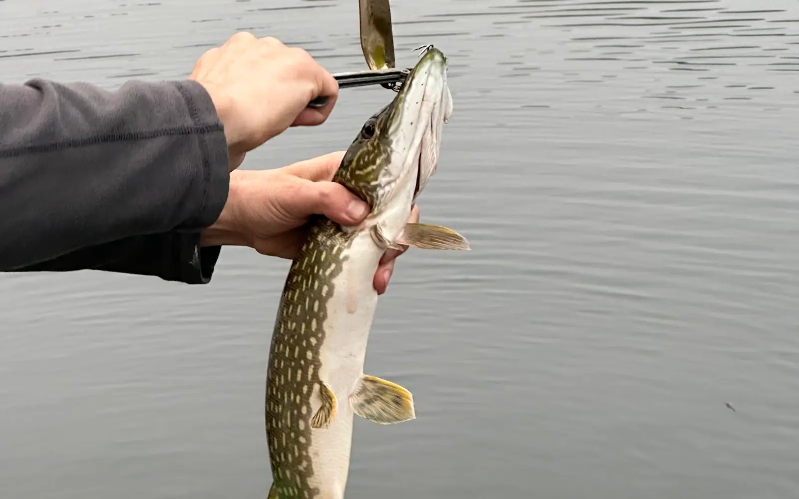 Andrew Lake Lodge & Camps