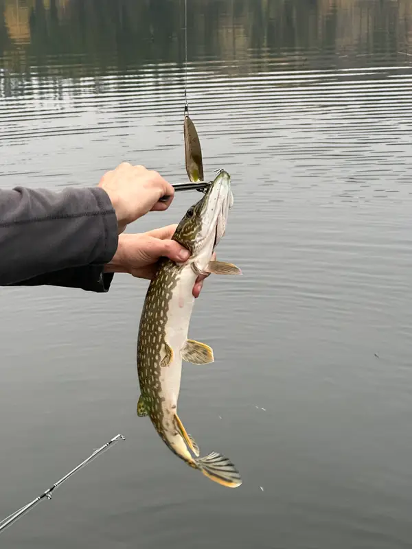 Andrew Lake Lodge & Camps, Wood Buffalo, AB