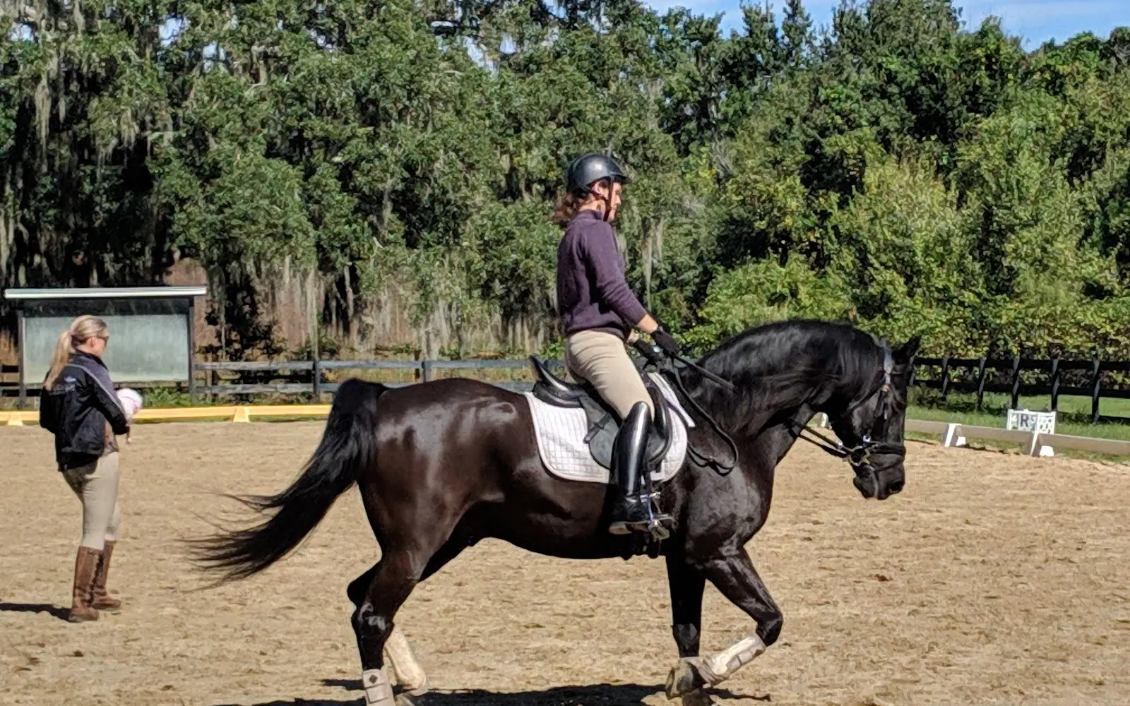 Annwyn Equestrian Center