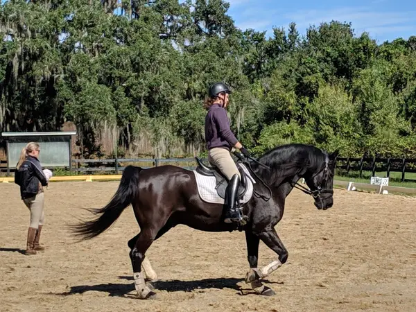 Annwyn Equestrian Center, photo 4