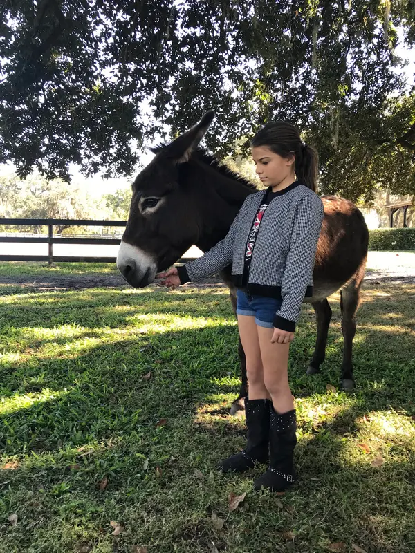 Annwyn Equestrian Center, photo 3