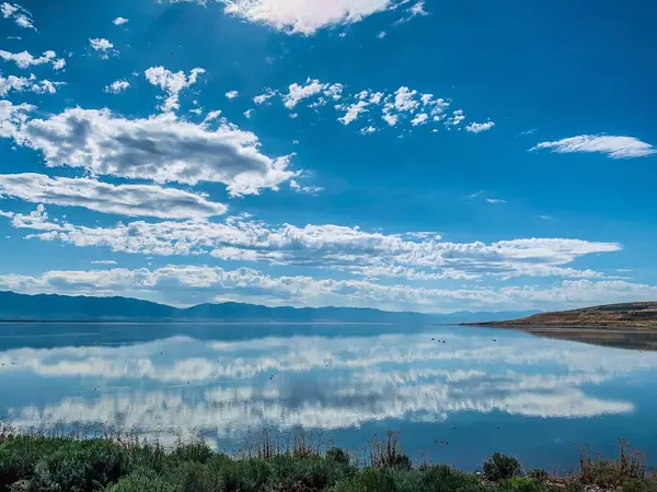Antelope Island Marina