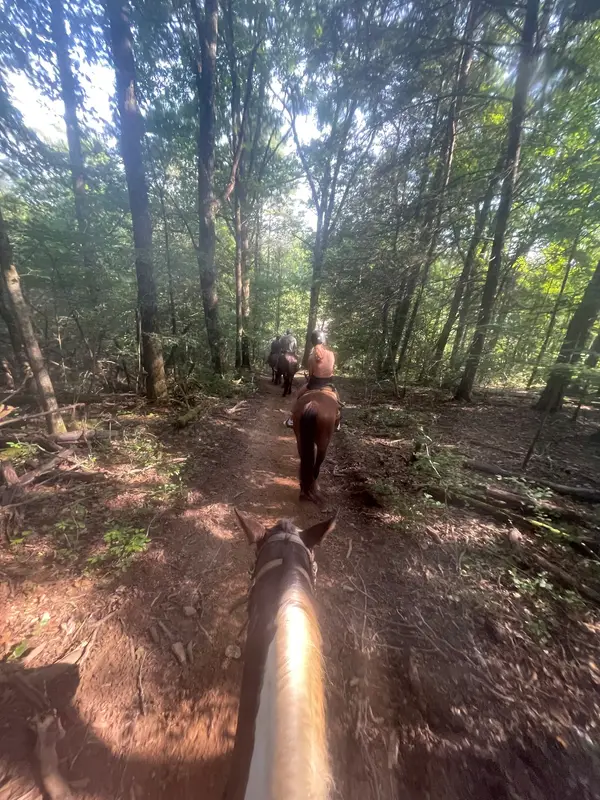 Appalachian Trail Rides, Mineral Bluff, GA