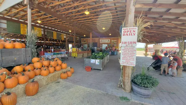 Apple Annie's Produce & Pumpkins, Willcox, AZ