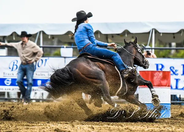 Apple Hill Stables, LLC.