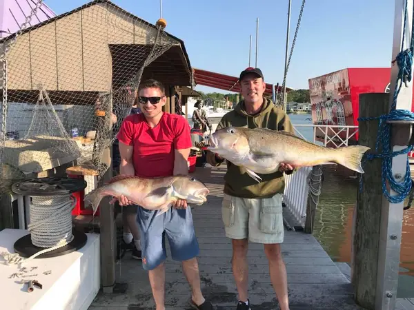 AquaMan Sport Fishing Charters Virginia Beach, Virginia Beach, VA