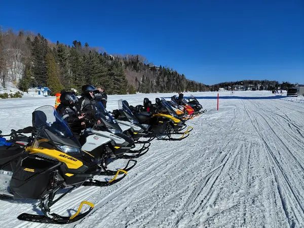 Arctic Aventure