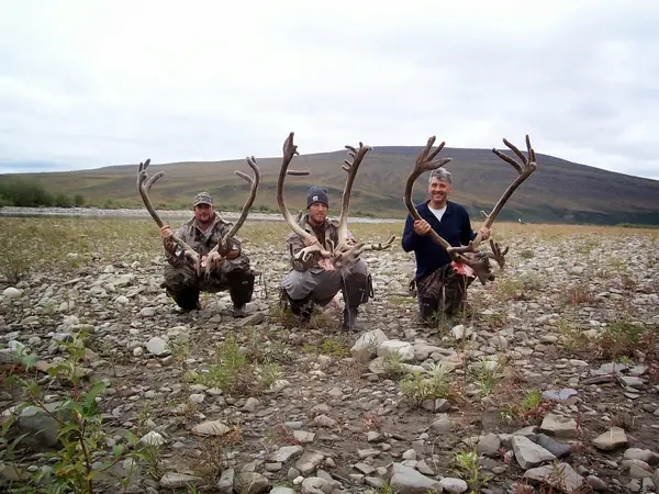 Arctic North Guides LLC