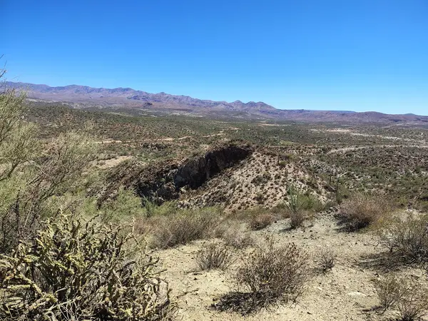 Arizona Outdoor Fun Adventures & Tours - ATV / UTV Tours & Rentals