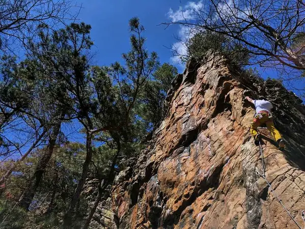 Arkansas Climbing Services