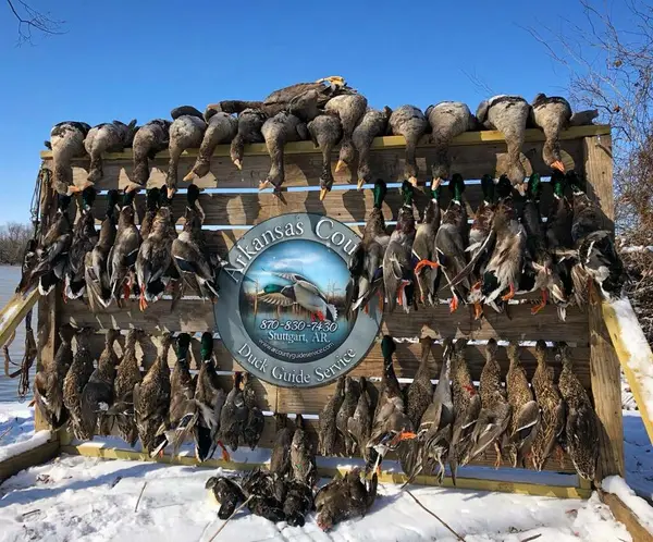 Arkansas County Guide Service