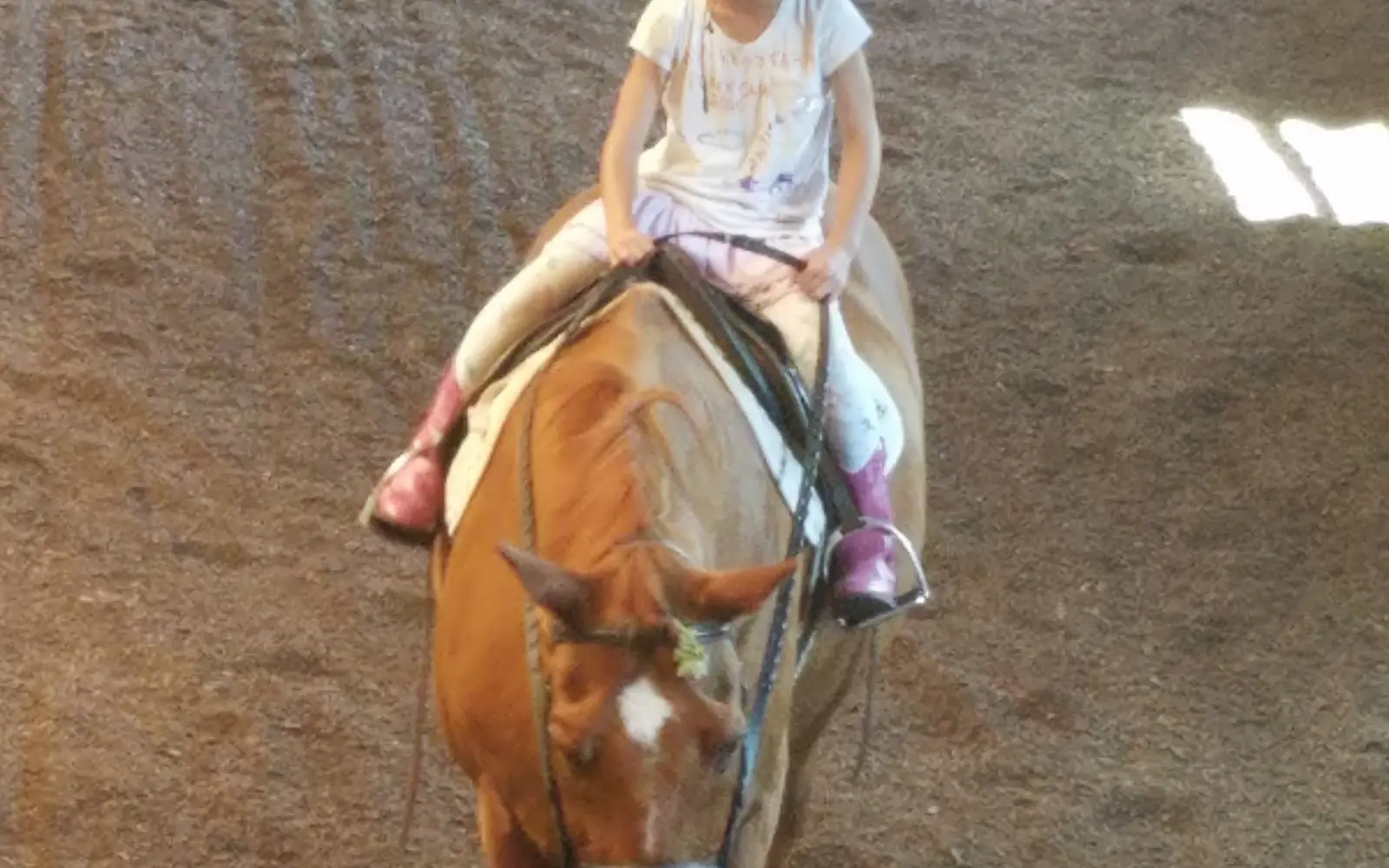 Arrowhead Farm