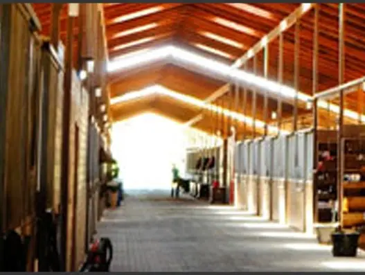 Arroyo Del Mar, photo 1
