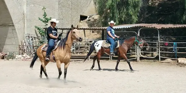 Arroyo Seco Stables, photo 1