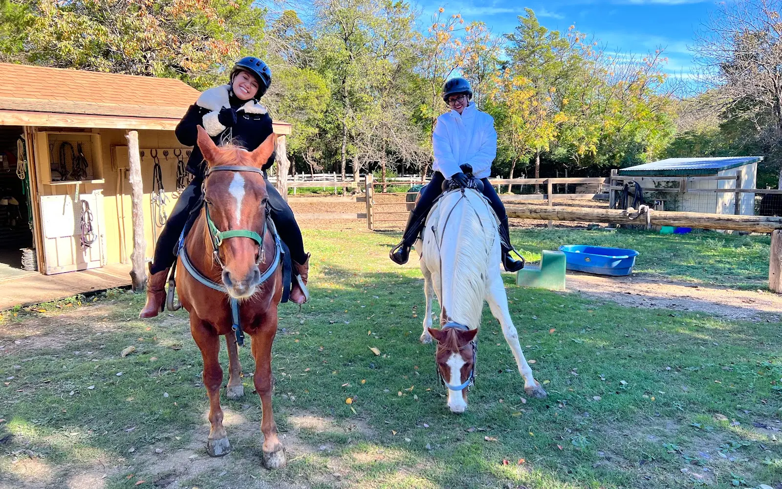 Ascend Horseback Riding