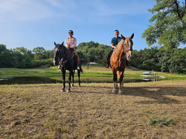 Ascend Horseback Riding, photo 1