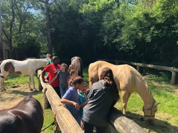 Ascend Horseback Riding, photo 3