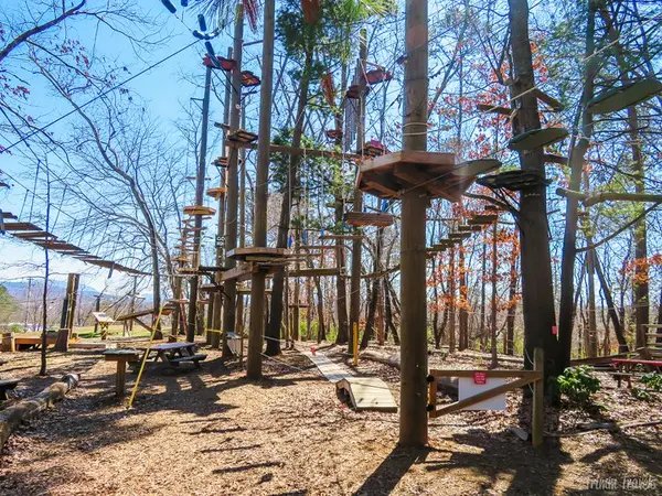 Asheville Treetops Adventure Park, Asheville, NC