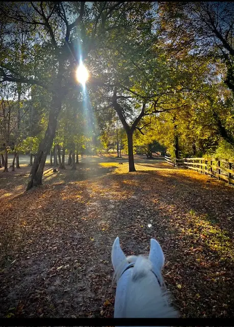 Atlanta Riding Academy
