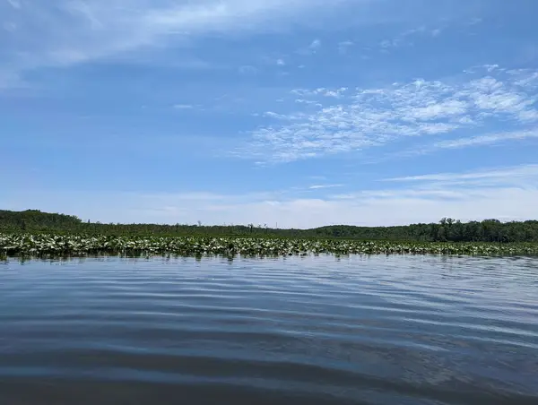 Atlantic Kayak Co, Indian Head, MD