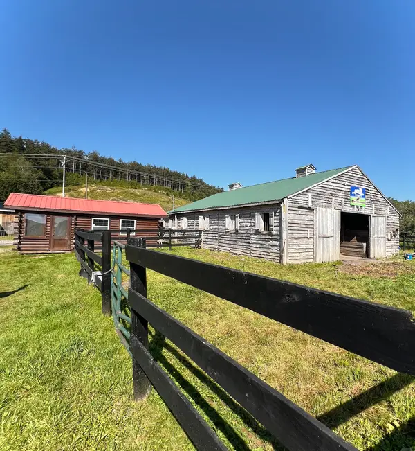 Autumn Breeze Stables