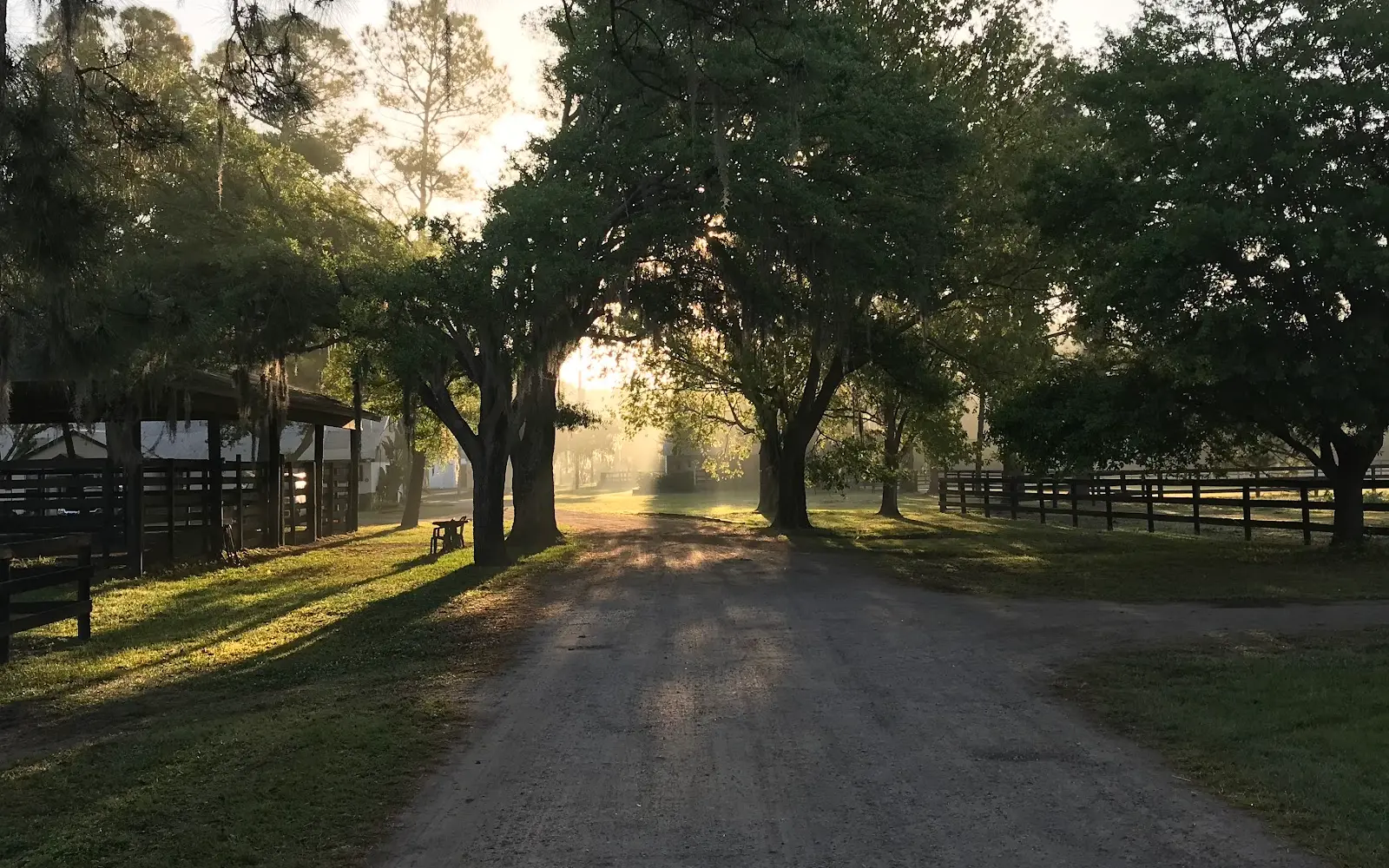 Avalon Stables