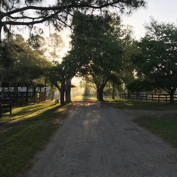 Avalon Stables, photo 4